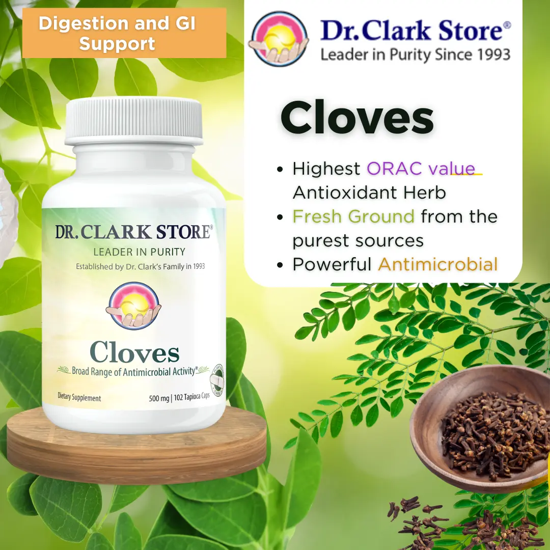 Cloves, 500 mg 100 capsules - Image 3