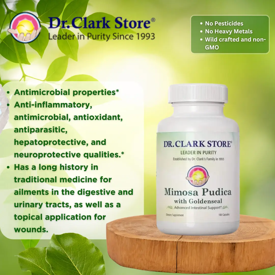 Mimosa Pudica with Goldenseal, 100 capsules - Image 3